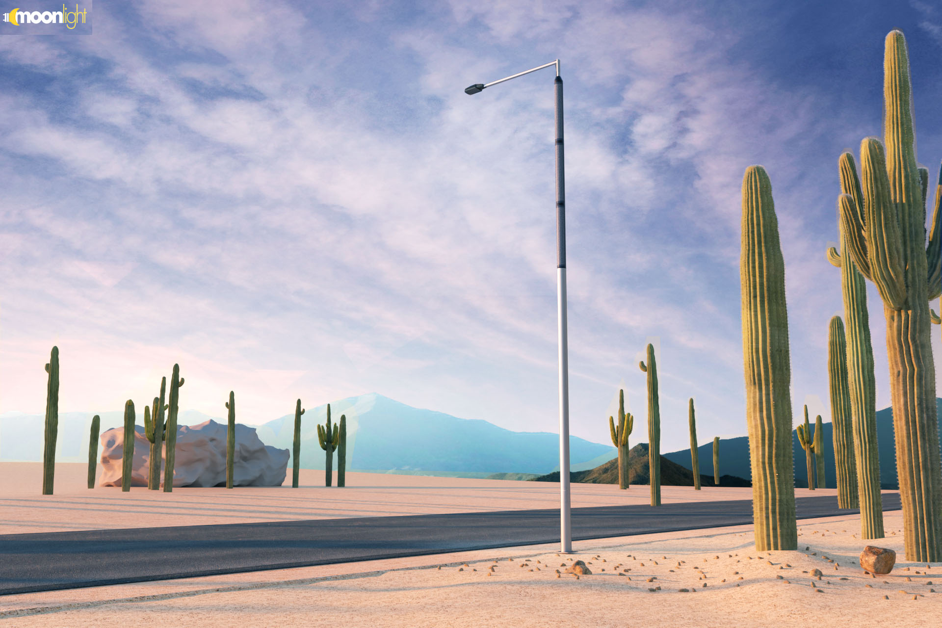 Best Vertical solar street lamp post Manufacturer