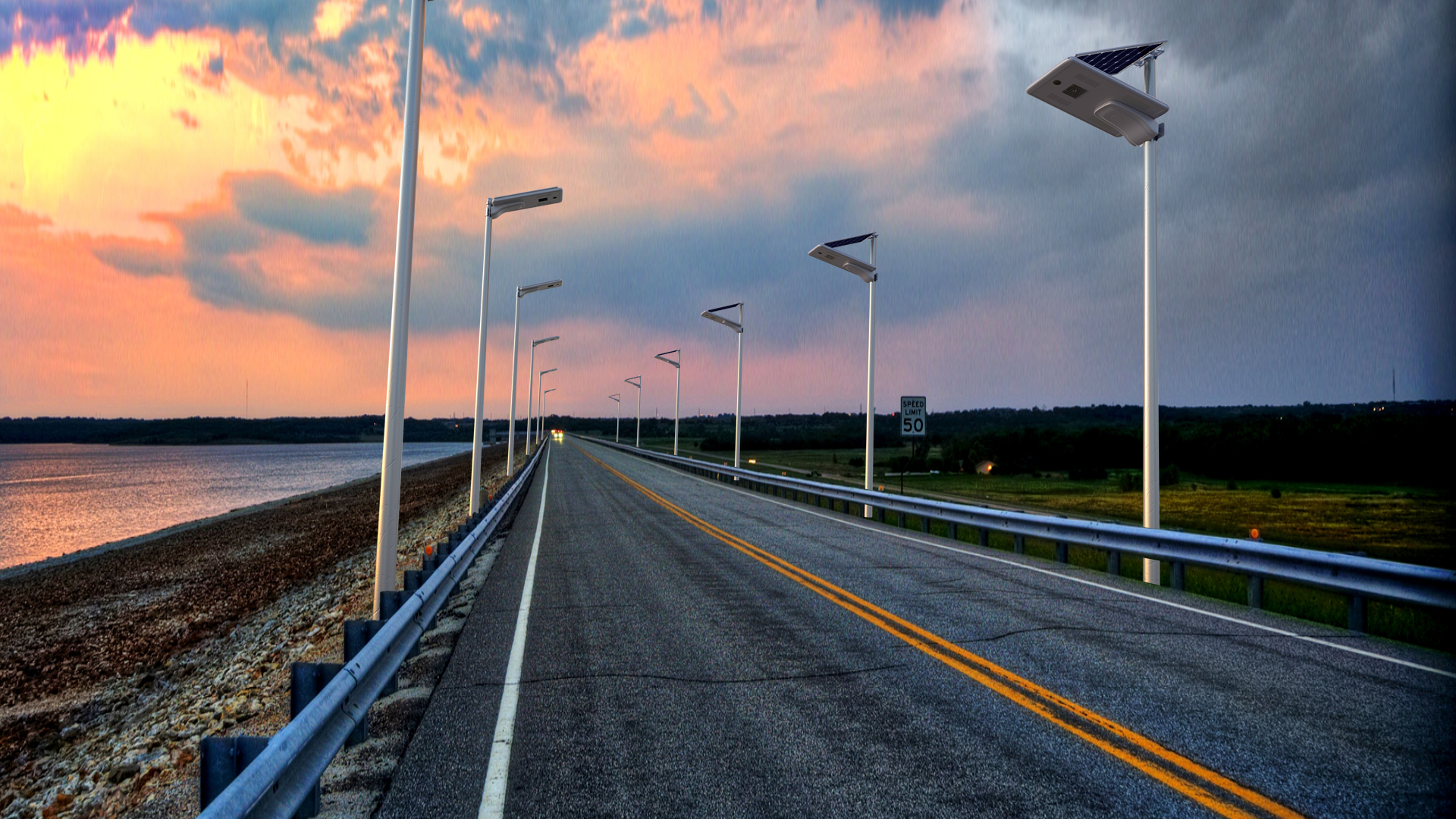 The Best type solar street light- Palm Series